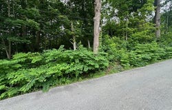 4 Green Street, Belfast, ME 04915