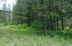 X12X HOAG RD, VALLEY, WA 99181