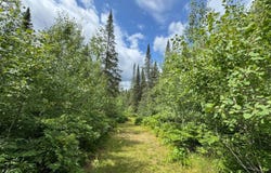 1csm666 MERCER LAKE CR S, Mercer, WI 54547
