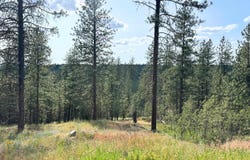 Nka Lower Weaver Lot A Way, Deer Park, WA 99006