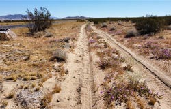 0 Ca-247, Johnson Valley, CA 92285