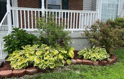 105 PALMETTO COURT, LA PLATA, MD 20646