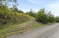 LOTS 5 & 13 CARDINAL RIDGE ESTATES, ROMNEY, WV 26757