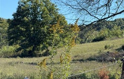 0 Cr 157, Des Arc, MO 63636