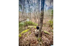5000 EADS UPTAIN ROAD, ADGER, AL 35006
