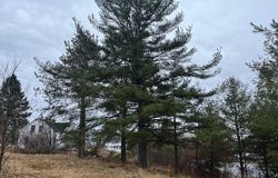 60 Pondview Street, Limestone, ME 04750