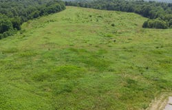 0 KY 1039, Sanders, KY 41083