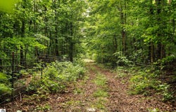 0 Cedar Creek Road, Fife Lake, MI 49633