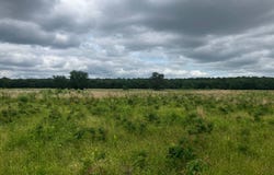 TBD* Alicia Lane, Howe, OK 74940