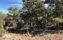 0.24 Acre Portion of Lot 70, Tres Piedras, NM 87577