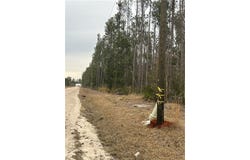 Farms Edge Road, Manor, GA 31552
