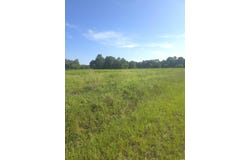 2095 Ray Rd., Hemingway, SC 29554