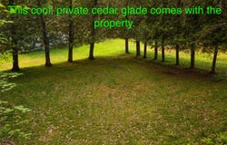 1076 Deerland Road, Long Lake, NY 12847
