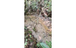 Cross Creek Circle, Sylva, NC 28779