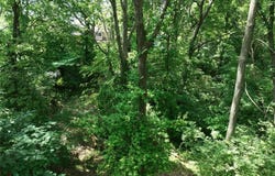 N Baltimore Avenue, Gladstone, MO 64118