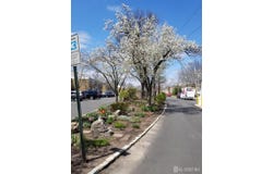 172 Evergreen Road, Edison, NJ 08837
