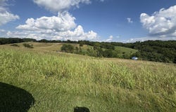 Lot #5 Anna Moore Road, Annville, KY 40402