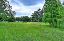 16605 HAPPY GARDEN Way, LUTZ, FL 33549
