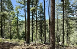 7964 S Millsite Drive, Prescott, AZ 86303