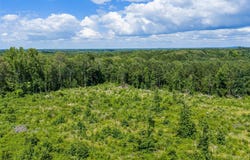 Mule Deer RD, Gilmer, TX 75644