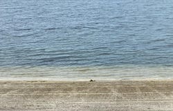 121 Schooner Landing Drive, Edenton, NC 27932