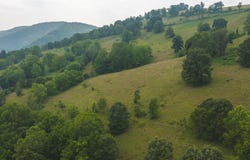 Lots 21&22 Big Springs Road, Eidson, TN 37731