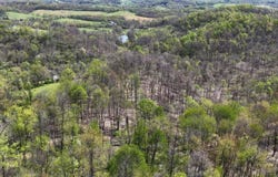 59900  Ramsey Ridge Road, Jacobsburg, OH 43933