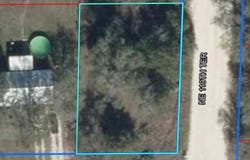 NE 119TH Terrace, WILLISTON, FL 32696