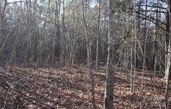 Tayberry Drive lot: 75, Nebo, NC 28761