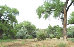 Off CR 120 CR 120, La Mesilla, NM 87532
