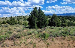 Tract_5A 3 Springs (lower portion) Trail, Alder, MT 59710