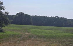 TBD Hwy 86, Loma Linda, MO 64804