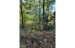 Map2 Lot30 Weeman Road, Detroit, ME 04929