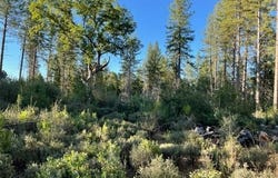 18371 Pine Tree Way, Mountain Ranch, CA 95246