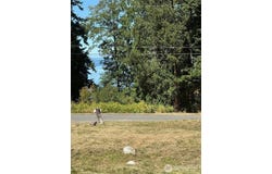 4904 Roney Road, Bow, WA 98232