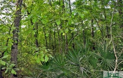 168 Middle Landing Road, Bloomingdale, GA 31302