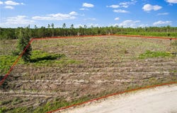Tract 4 Morris Break Road, Odum, GA 31555