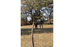 5908 County Road 608, Burleson, TX 76028