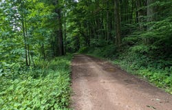 0 BERKEY HOLLOW ROAD, ALUM BANK, PA 15521