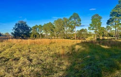 41 Crabapple, Hawkinsville, GA 31036