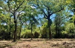 Tbd Mt Pleasant Rd (+/-5.75 acres), Franklin, TX 77856