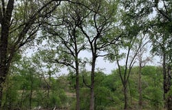 1045 Creek Crossing Road, Nemo, TX 76070