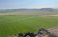 60646 Anderson Valley Rd., Princeton, OR 97721