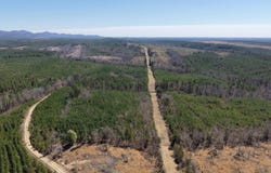 TBD Polk Road 639 Road, Vandervoort, AR 71972