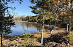 Timber Cove Lane lot: #5, Harrington, ME 04643