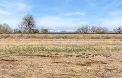 15287 Ypsilon Cir, Mead, CO 80542