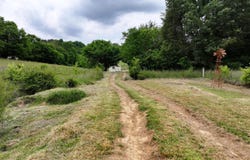 55 Little Chuckey Cutoff, Mosheim, TN 37818