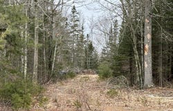 221 Bucksport Road, Ellsworth, ME 04605