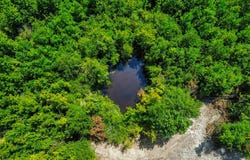 9617 AL Hwy 22, Orrville, AL 36767