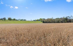 New Haven, MO 63068
